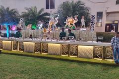 IMG_20191119_210051-Copy