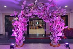 IMG_20191119_210210-Copy